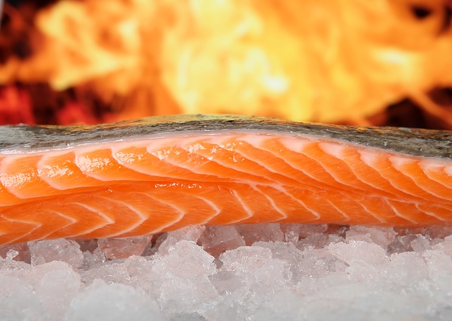 salmon-omega-3